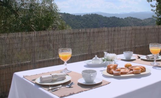 Casas Rurales Los Algarrobales