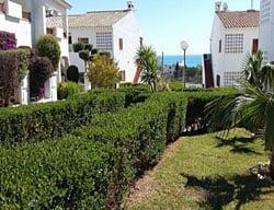 Apartamentos Palma Blanca 3000