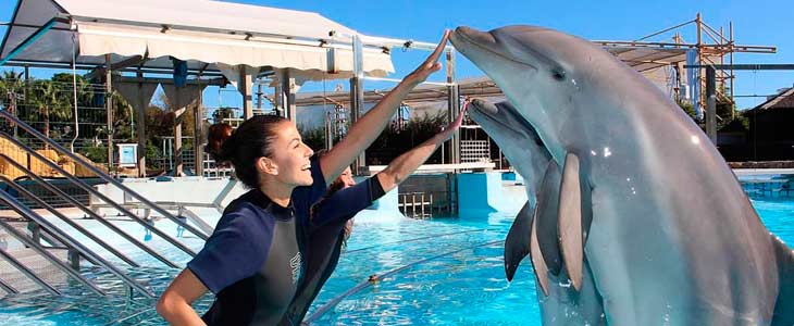 Entradas Selwo Marina Benalmádena