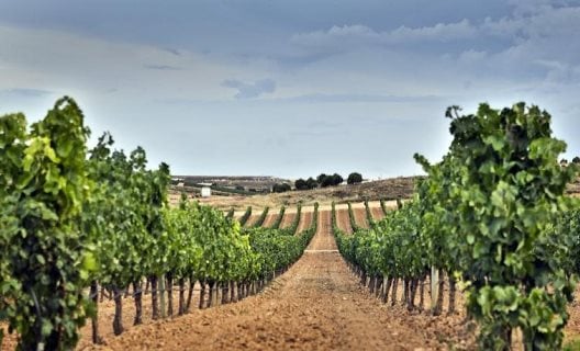 Hotel Área Tudanca Aranda - Aranda Del Duero - Burgos