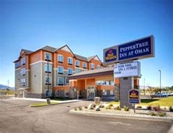 Hotel Best Western Peppertree Inn At Omak