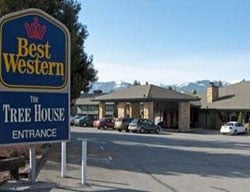 Hotel Best Western Plus Tree House Motor Inn