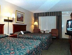 Hotel Chestnut Tree Inn