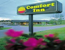 Hotel Comfort Inn-saint George