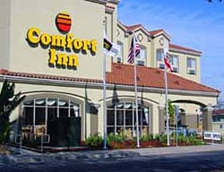 Hotel Comfort Inn-san Jose