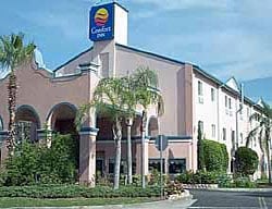 Hotel Comfort Inn Sarasota At I-75