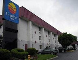 Hotel Comfort Inn South
