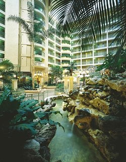 Hotel Embassy Suites International Drive - Orlando - Orlando