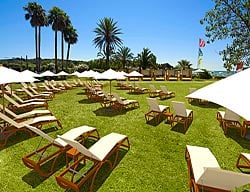 Hotel Fergus Style Punta Arabi