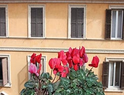 Hotel Garda