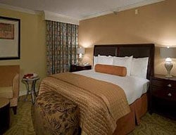Hotel Hilton Washington Dc-rockville Hotel&executive
