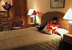 Hotel Normandie