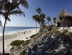 Hotel Papaya Playa
