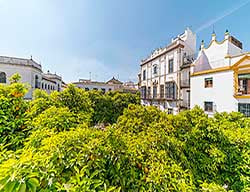 Hotel Rey Don Pedro Luxury Home