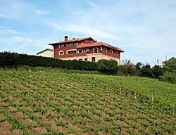 Hotel Rural Gaintza