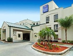 Hotel Sleep Inn Sarasota