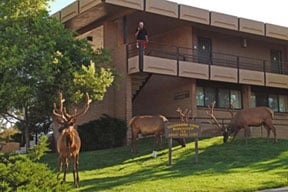 Hotel Thunderbird Lodge-grand Canyon