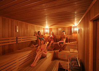 Palace sauna club the 