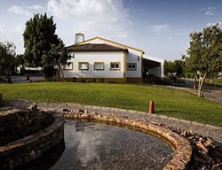 Hotel Vila Gale Alentejo Vineyard