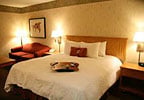 Hotel Hampton Inn Flagstaff