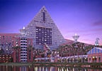 Hotel Walt Disney World Dolphin Resort