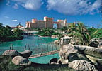Hotel The Cove Atlantis-All Suites