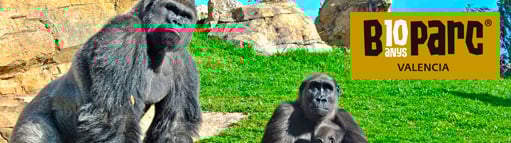Entradas BioParc