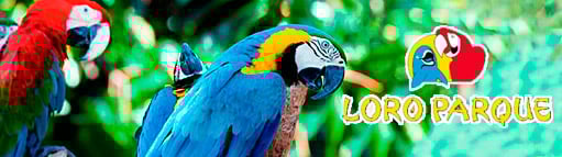 Entradas Loro Parque Tenerife
