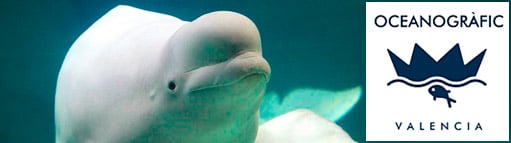 Entradas Oceanogràfic