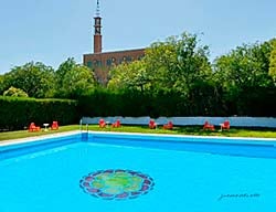 Lantana Garden