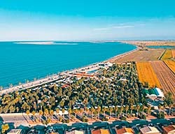 Taiga Delta De Lebre
