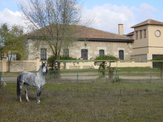 Centro De Turismo Rural La Torrecilla