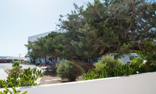 Complejo Lago Playa Formentera