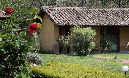 Complejo Rural El Mirlo Blanco