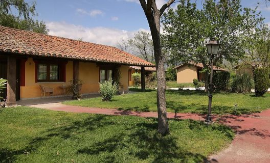Complejo Rural El Mirlo Blanco