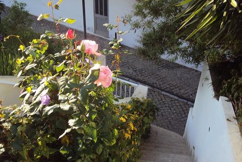 Dona Maria Bed And Breakfast