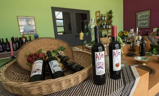 Ecoagroturismo Can Feliu