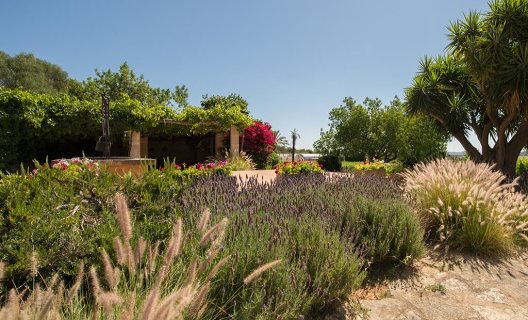 Ecoagroturismo Can Feliu