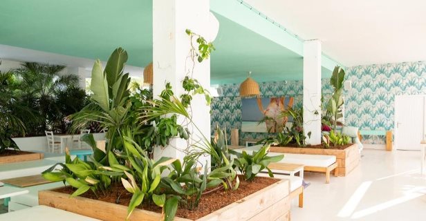 Endlss Beach Disco Hotel Ibiza Adults Only