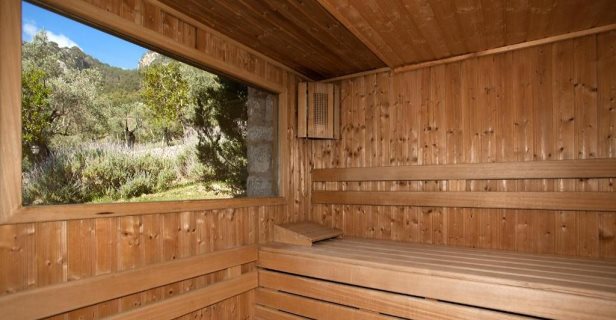 Finca Albellons