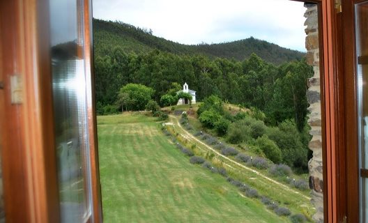Finca O Bizarro