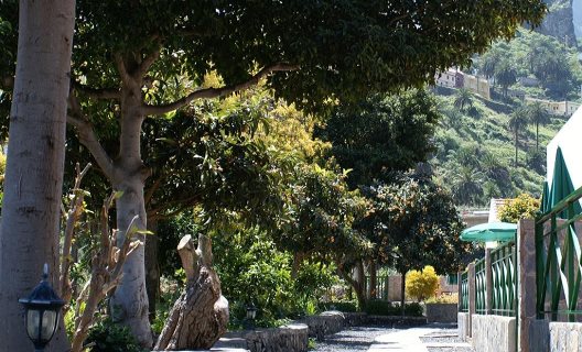 Finca Piñero