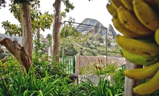 Finca Piñero