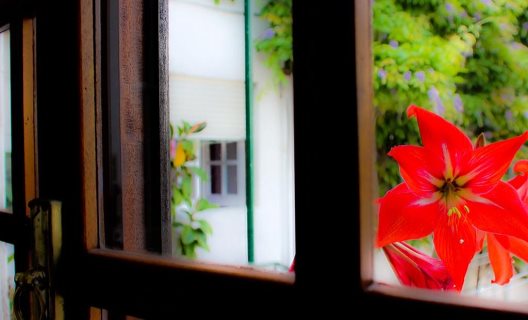 Guest House Residencial Uniao
