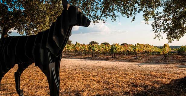 Herdade Da Rocha Boutique Lodge