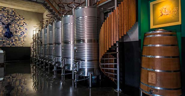 Herdade Da Rocha Boutique Lodge