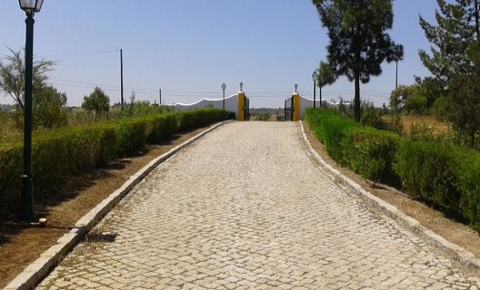 Herdade Do Rio Torto