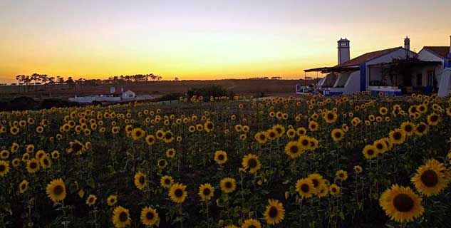 Herdade Do Touril