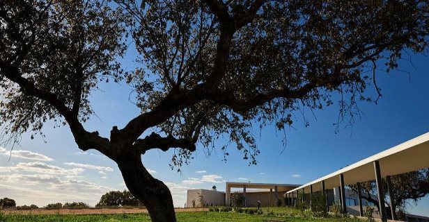 Herdade Dos Delgados
