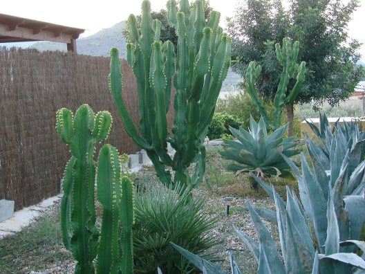 Hospederia Rural Los Palmitos